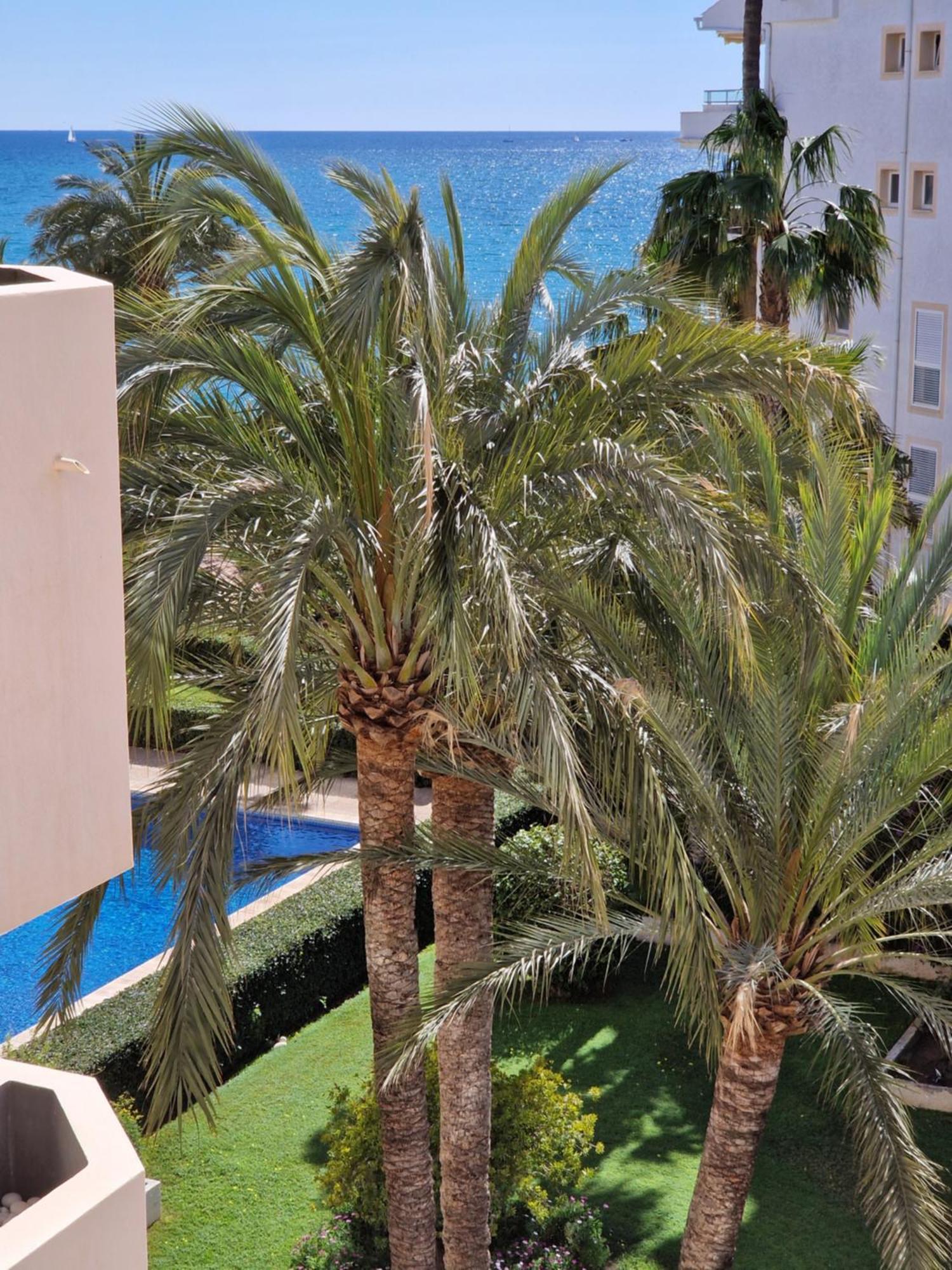 Azul - Estudio Con Vistas Al Mar, Piscina Y Acceso Directo A La Playa By Redi Altea Esterno foto